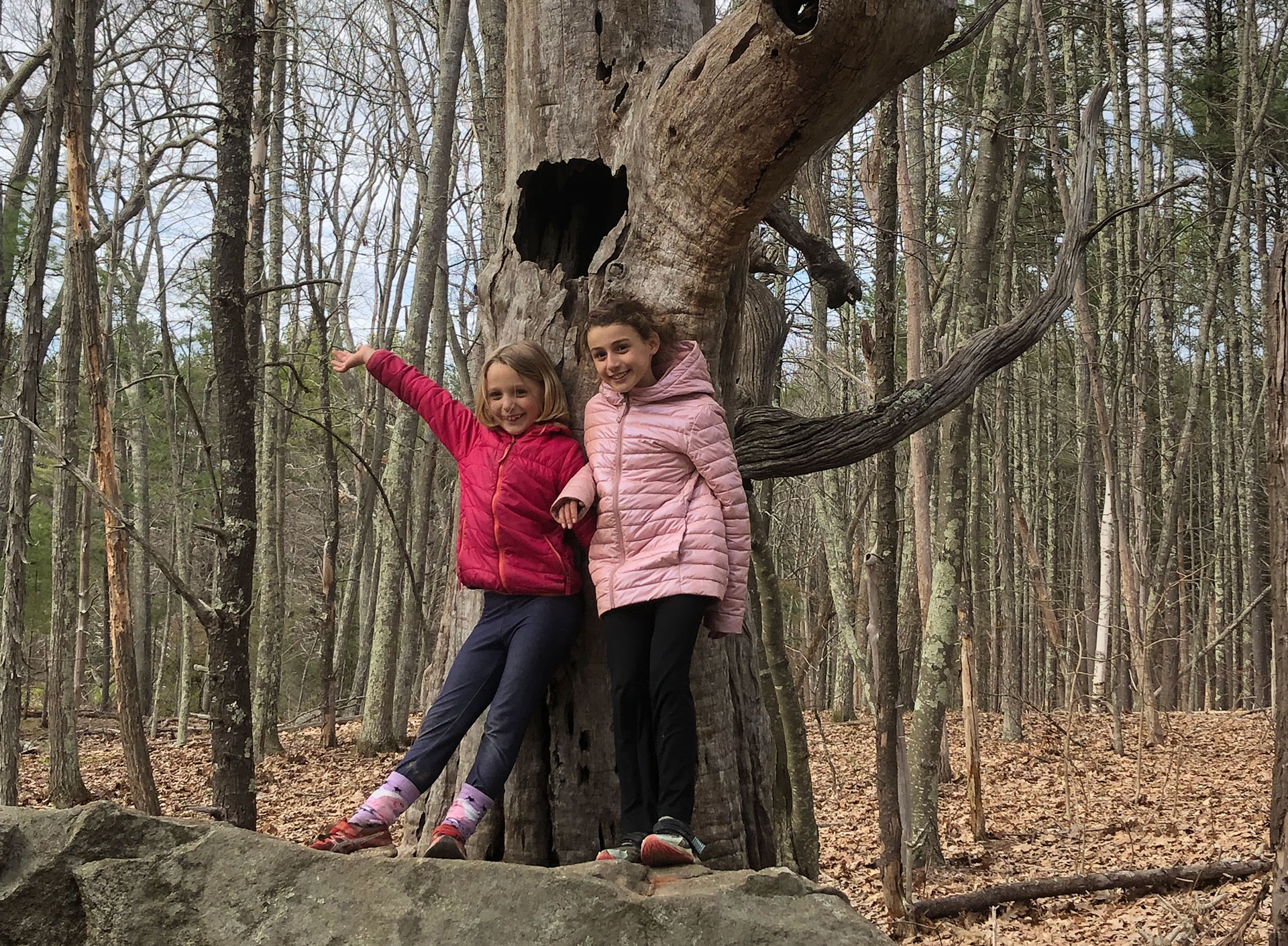 Two children posing in front of a tree in the woods