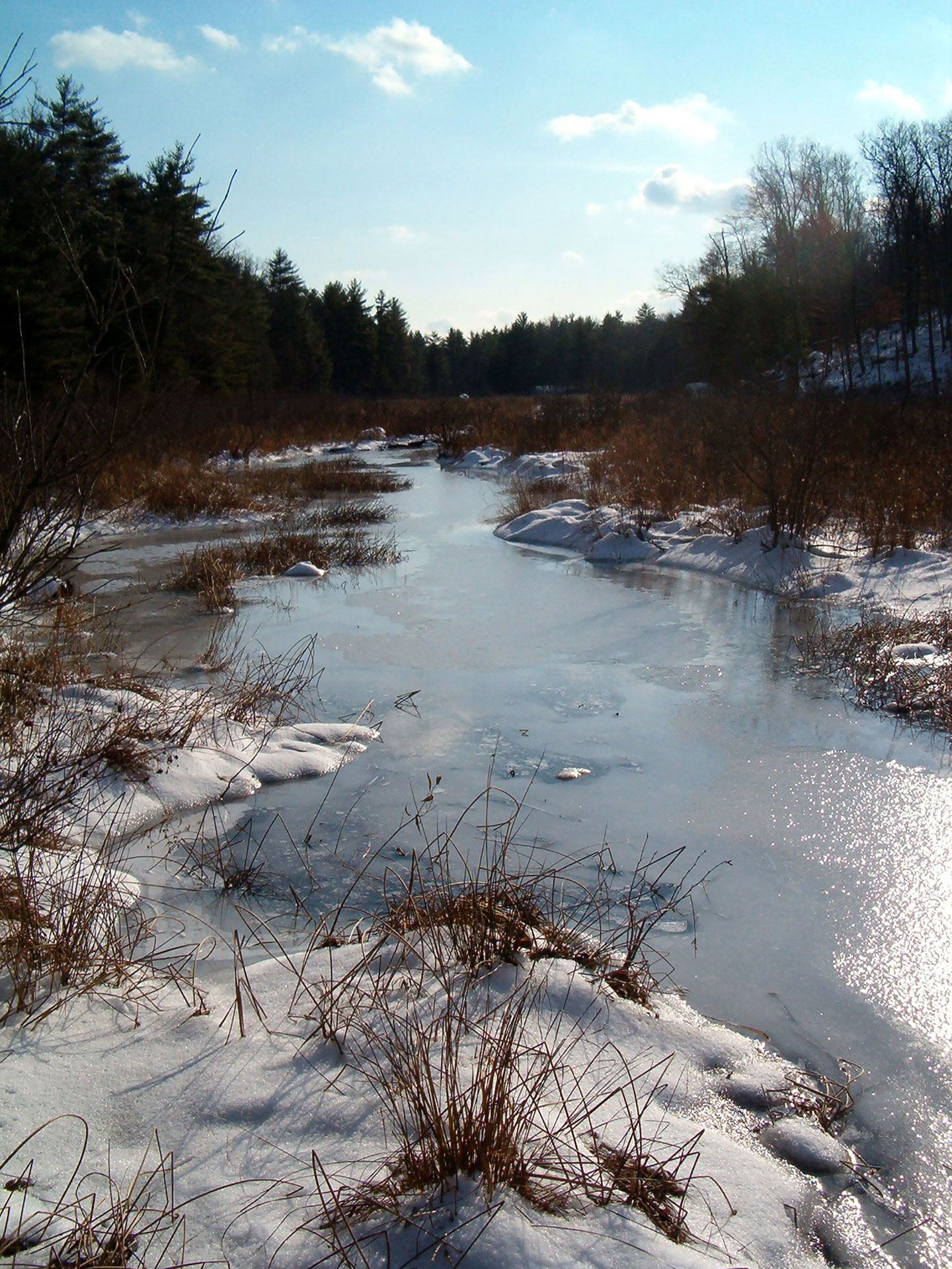 A river in the winter