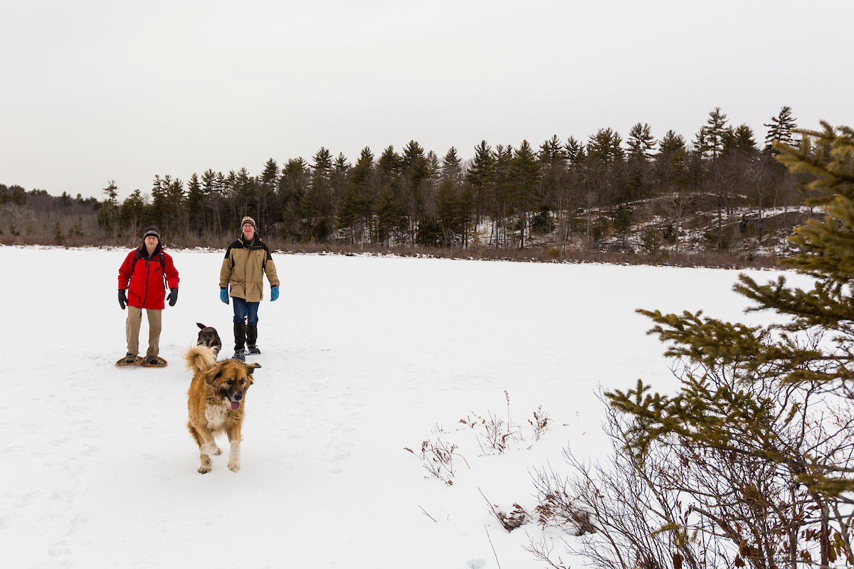 Two men and two dogs walking in a snowy field