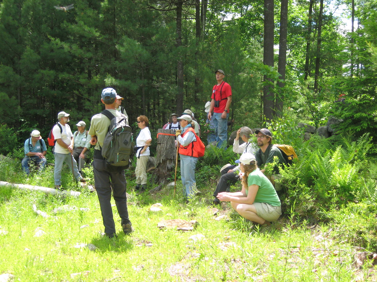 A large group of people gathered in the woods